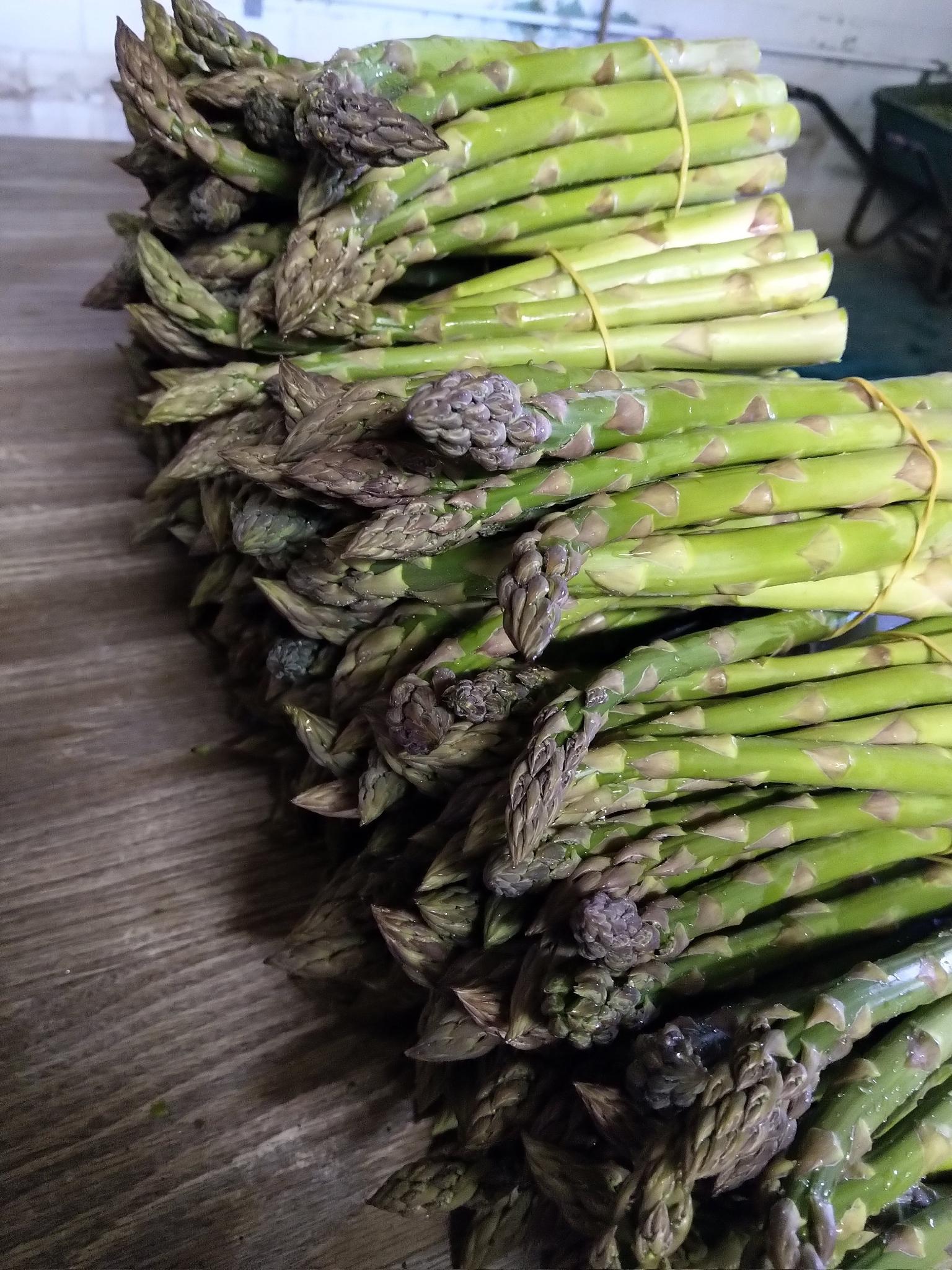 Frischer Grünspargel